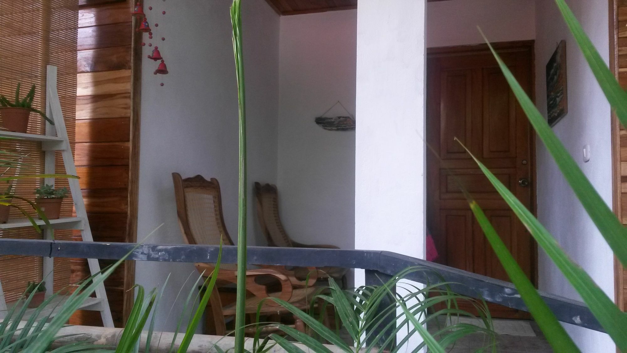 Hotel Disfrutalo à Playa Santa Teresa  Extérieur photo